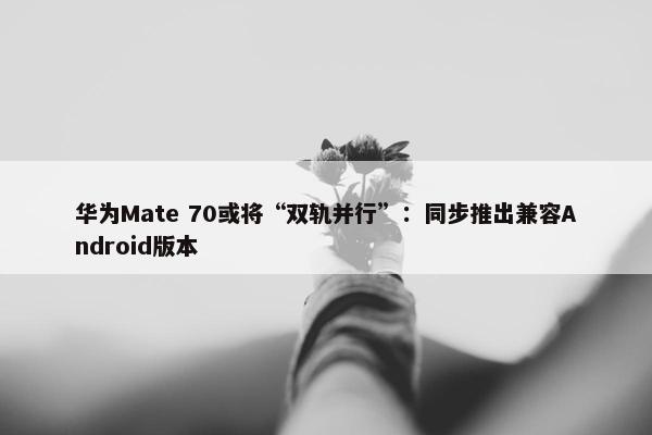 华为Mate 70或将“双轨并行”：同步推出兼容Android版本