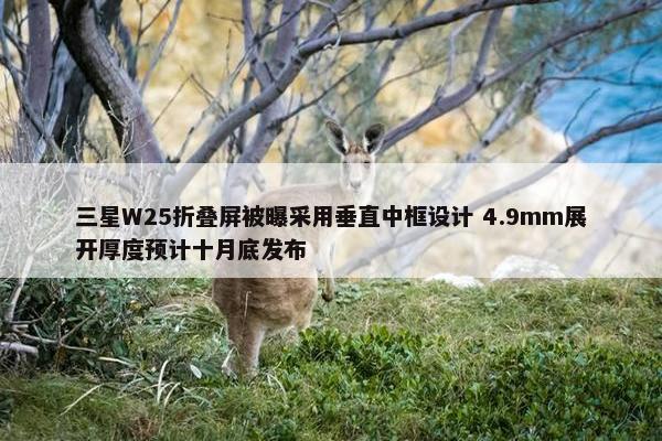 三星W25折叠屏被曝采用垂直中框设计 4.9mm展开厚度预计十月底发布