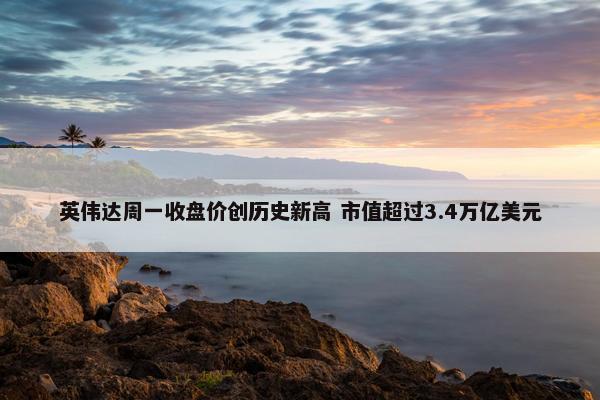 英伟达周一收盘价创历史新高 市值超过3.4万亿美元