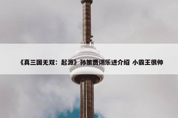 《真三国无双：起源》孙策贾诩乐进介绍 小霸王很帅