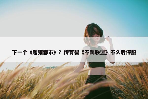 下一个《超猎都市》？传育碧《不羁联盟》不久后停服