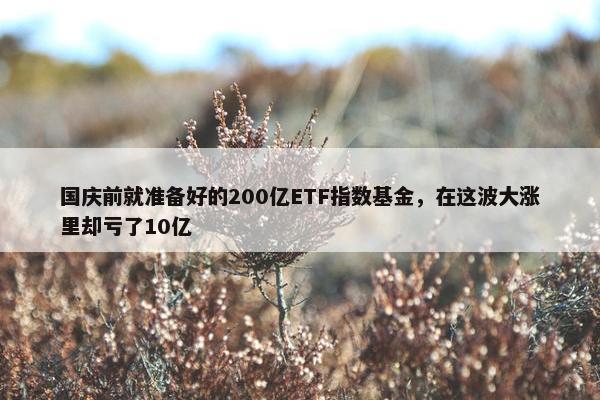 国庆前就准备好的200亿ETF指数基金，在这波大涨里却亏了10亿