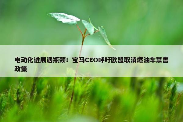 电动化进展遇瓶颈！宝马CEO呼吁欧盟取消燃油车禁售政策