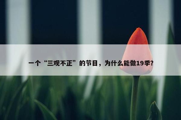 一个“三观不正”的节目，为什么能做19季？