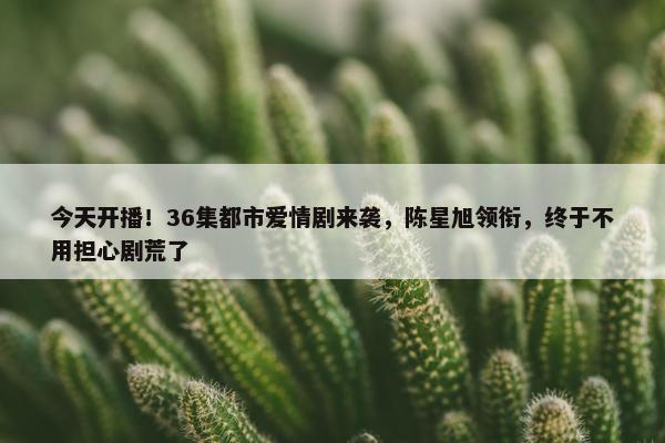 今天开播！36集都市爱情剧来袭，陈星旭领衔，终于不用担心剧荒了