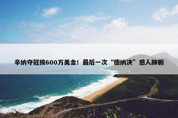 辛纳夺冠摘600万美金！最后一次“德纳决”感人肺腑