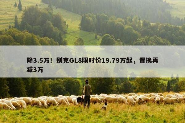 降3.5万！别克GL8限时价19.79万起，置换再减3万