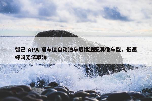 智己 APA 窄车位自动泊车后续适配其他车型，低速蜂鸣无法取消