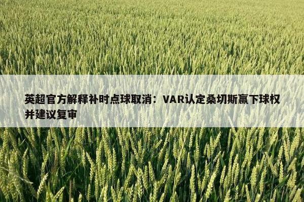 英超官方解释补时点球取消：VAR认定桑切斯赢下球权并建议复审