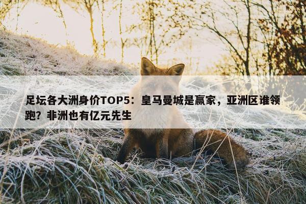 足坛各大洲身价TOP5：皇马曼城是赢家，亚洲区谁领跑？非洲也有亿元先生