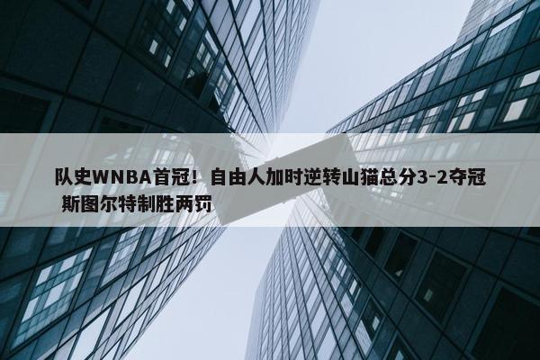 队史WNBA首冠！自由人加时逆转山猫总分3-2夺冠 斯图尔特制胜两罚