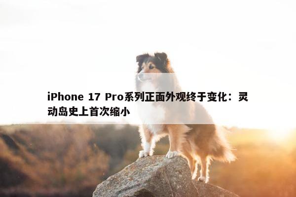 iPhone 17 Pro系列正面外观终于变化：灵动岛史上首次缩小