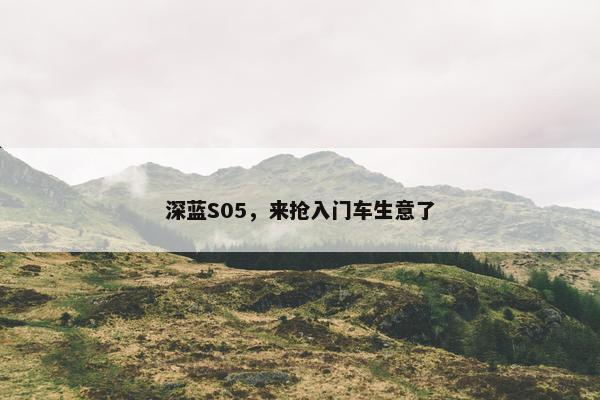 深蓝S05，来抢入门车生意了