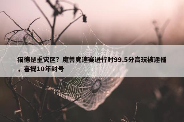 猫德是重灾区？魔兽竞速赛进行时99.5分高玩被逮捕，喜提10年封号