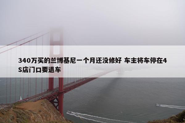 340万买的兰博基尼一个月还没修好 车主将车停在4S店门口要退车