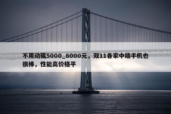 不用动辄5000_6000元，双11各家中端手机也很棒，性能高价格平