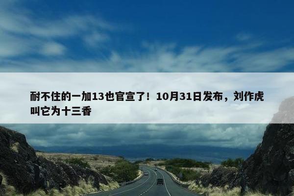 耐不住的一加13也官宣了！10月31日发布，刘作虎叫它为十三香