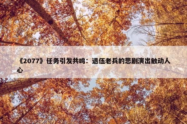 《2077》任务引发共鸣：退伍老兵的悲剧演出触动人心