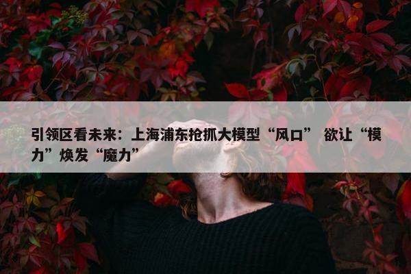 引领区看未来：上海浦东抢抓大模型“风口” 欲让“模力”焕发“魔力”