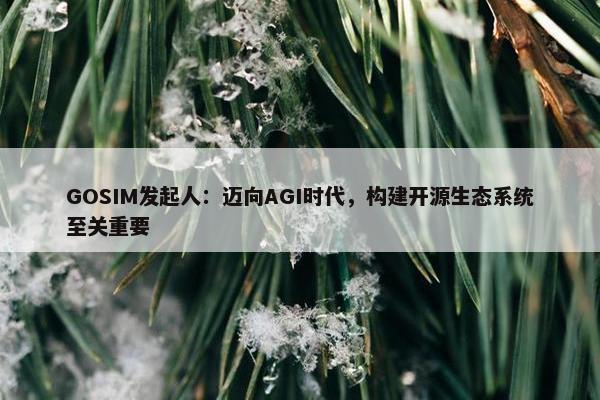 GOSIM发起人：迈向AGI时代，构建开源生态系统至关重要