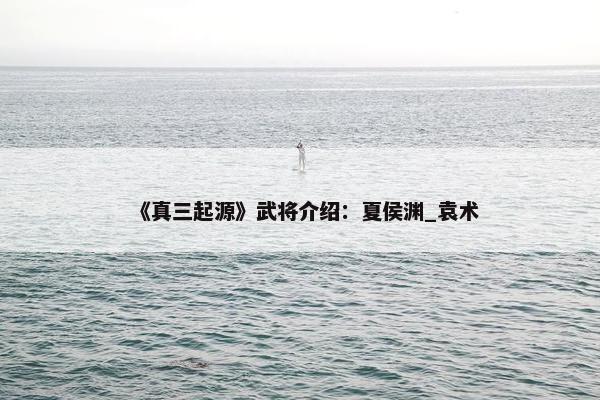 《真三起源》武将介绍：夏侯渊_袁术