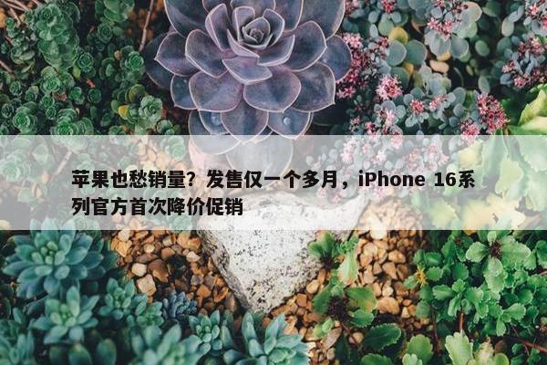 苹果也愁销量？发售仅一个多月，iPhone 16系列官方首次降价促销