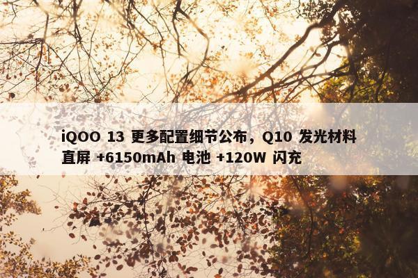 iQOO 13 更多配置细节公布，Q10 发光材料直屏 +6150mAh 电池 +120W 闪充