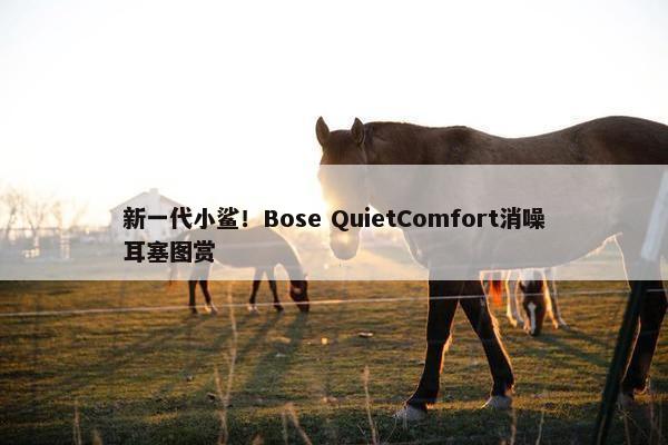 新一代小鲨！Bose QuietComfort消噪耳塞图赏