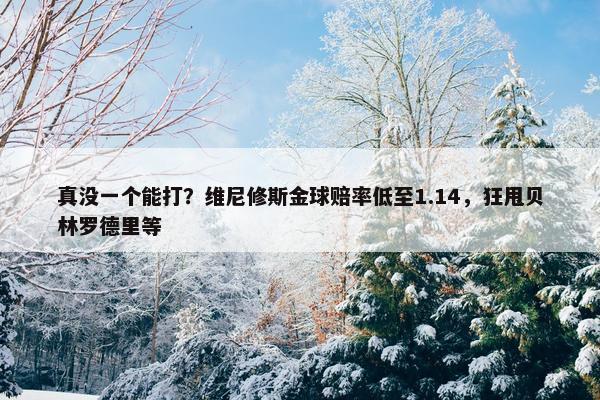 真没一个能打？维尼修斯金球赔率低至1.14，狂甩贝林罗德里等