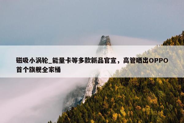 磁吸小涡轮_能量卡等多款新品官宣，高管晒出OPPO首个旗舰全家桶