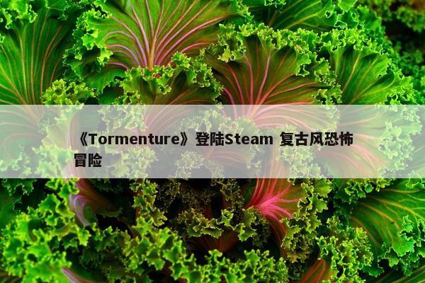 《Tormenture》登陆Steam 复古风恐怖冒险