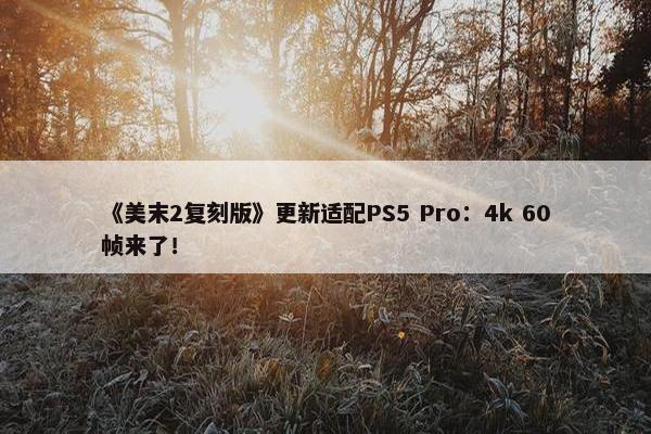 《美末2复刻版》更新适配PS5 Pro：4k 60帧来了！