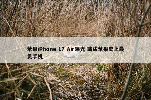 苹果iPhone 17 Air曝光 或成苹果史上最贵手机