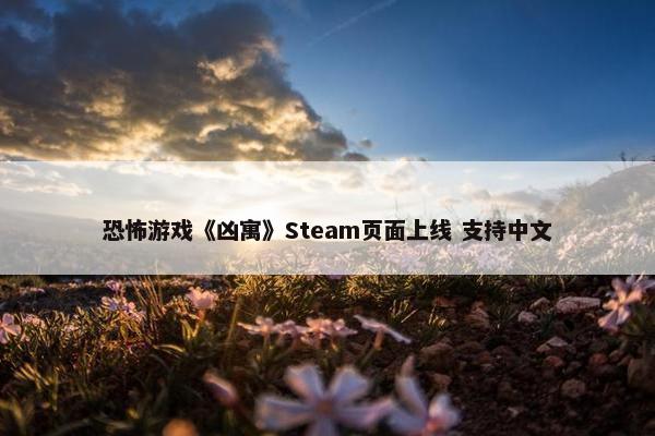 恐怖游戏《凶寓》Steam页面上线 支持中文