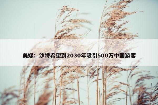 美媒：沙特希望到2030年吸引500万中国游客