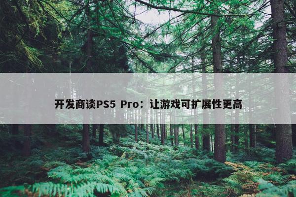 开发商谈PS5 Pro：让游戏可扩展性更高