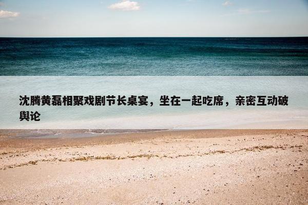 沈腾黄磊相聚戏剧节长桌宴，坐在一起吃席，亲密互动破舆论