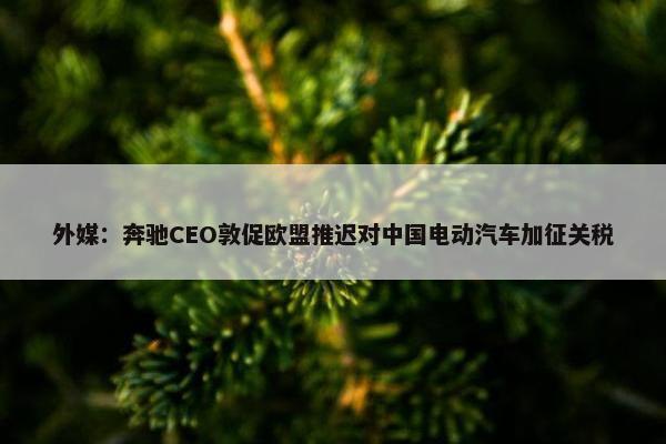 外媒：奔驰CEO敦促欧盟推迟对中国电动汽车加征关税