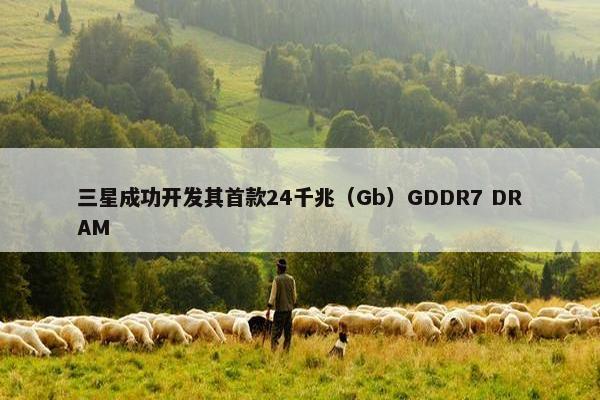 三星成功开发其首款24千兆（Gb）GDDR7 DRAM