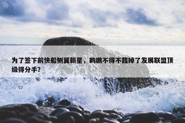 为了签下前快船侧翼新星，鹈鹕不得不裁掉了发展联盟顶级得分手？