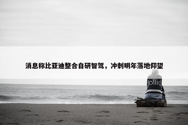 消息称比亚迪整合自研智驾，冲刺明年落地仰望