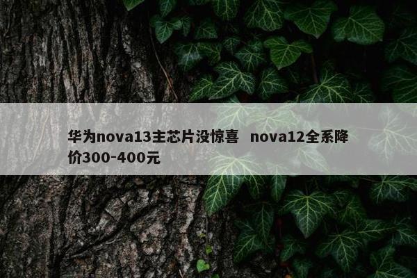 华为nova13主芯片没惊喜  nova12全系降价300-400元