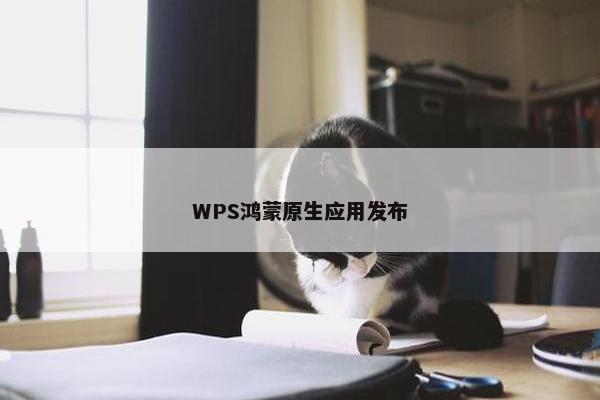 WPS鸿蒙原生应用发布