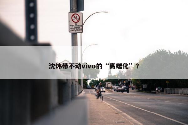 沈炜带不动vivo的“高端化”？