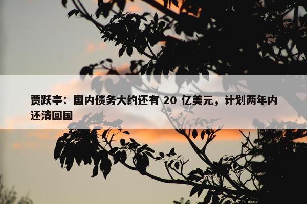 贾跃亭：国内债务大约还有 20 亿美元，计划两年内还清回国