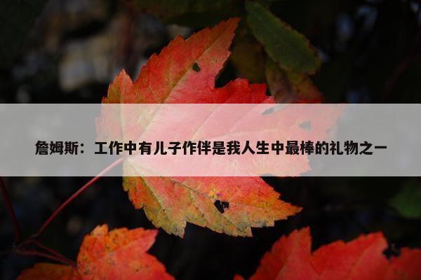 詹姆斯：工作中有儿子作伴是我人生中最棒的礼物之一