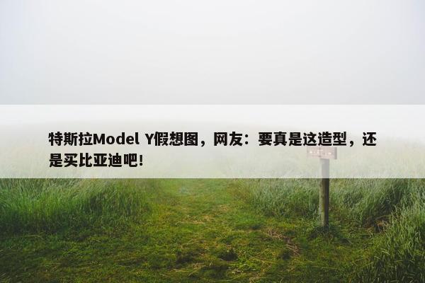 特斯拉Model Y假想图，网友：要真是这造型，还是买比亚迪吧！