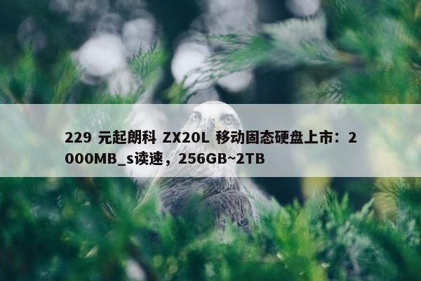 229 元起朗科 ZX20L 移动固态硬盘上市：2000MB_s读速，256GB~2TB