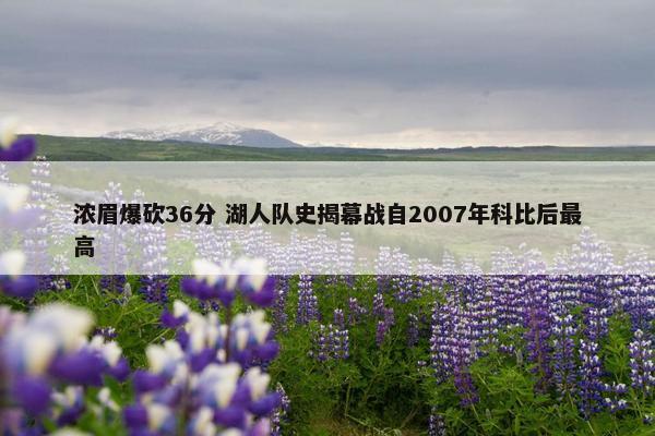 浓眉爆砍36分 湖人队史揭幕战自2007年科比后最高