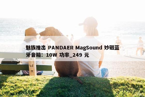 魅族推出 PANDAER MagSound 妙磁蓝牙音箱：10W 功率_249 元